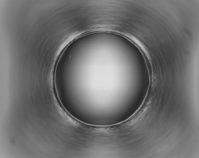 X0000112061341200908111404