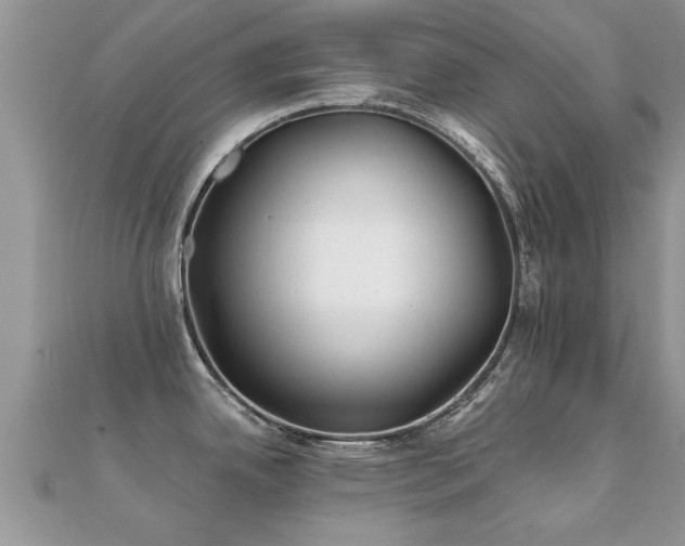X0000112061342200908111404