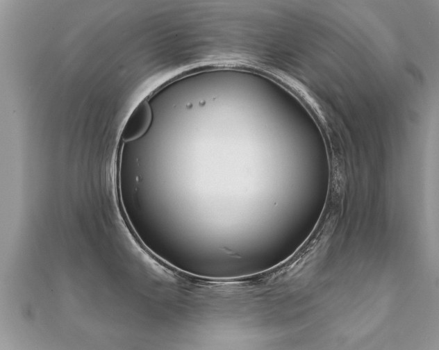 X0000112061343200908111404