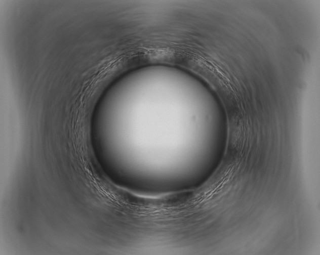 X0000112061345200908111403