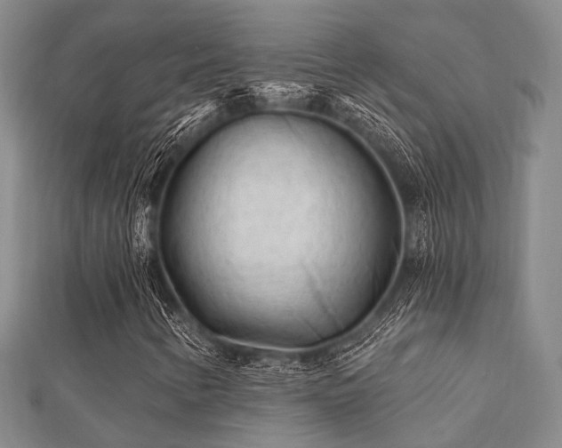 X0000112061346200908111403