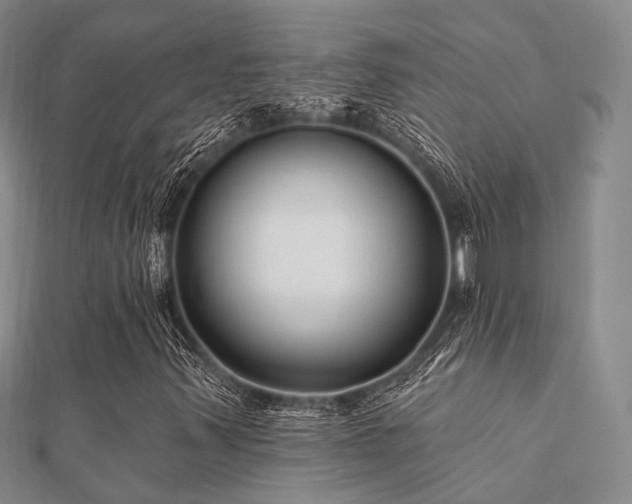 X0000112061347200908111403
