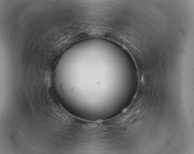 X0000112061348200908111403