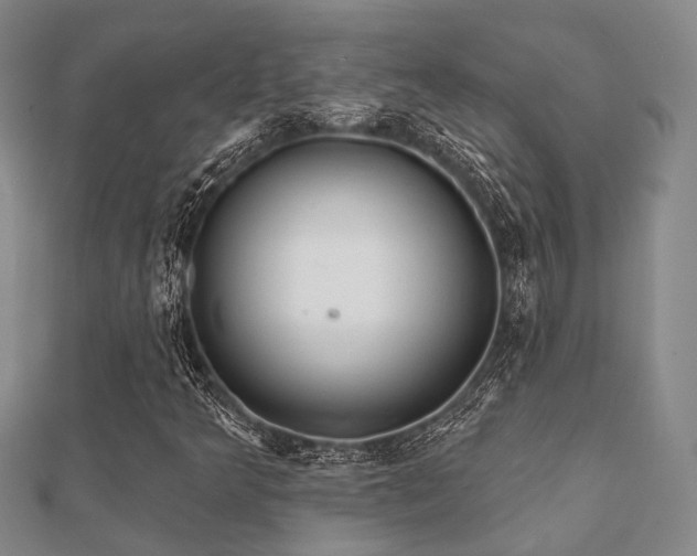 X0000112061349200908111403