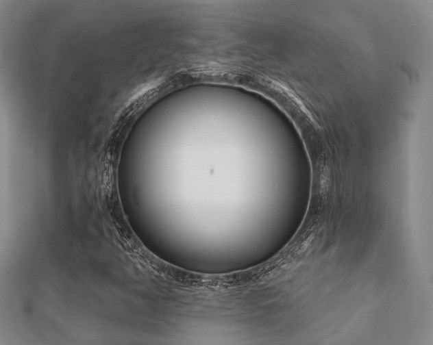 X0000112061350200908111403