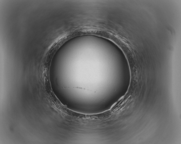 X0000112061351200908111403