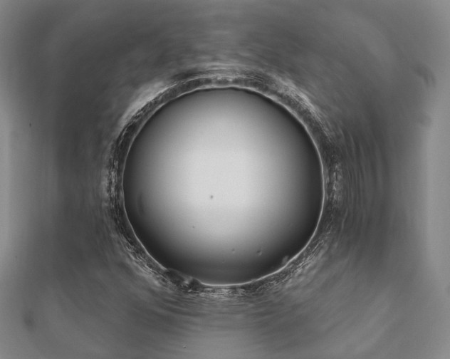 X0000112061352200908111403