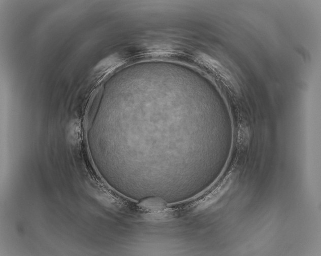 X0000112061353200908111403