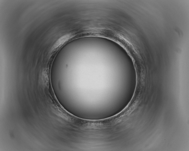 X0000112061354200908111403