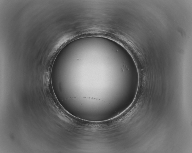 X0000112061355200908111403