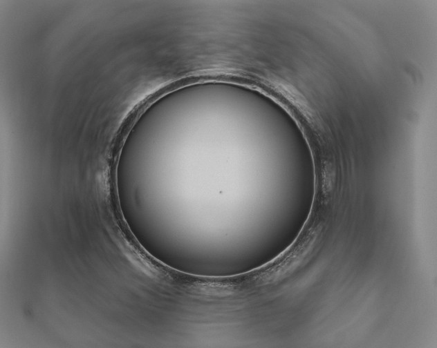 X0000112061356200908111403