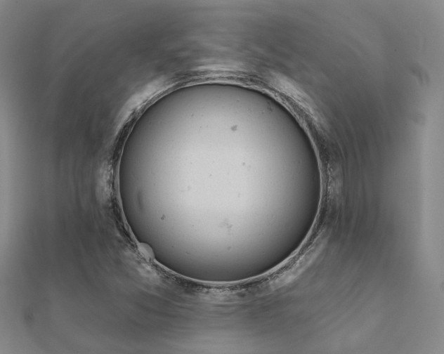 X0000112061357200908111403