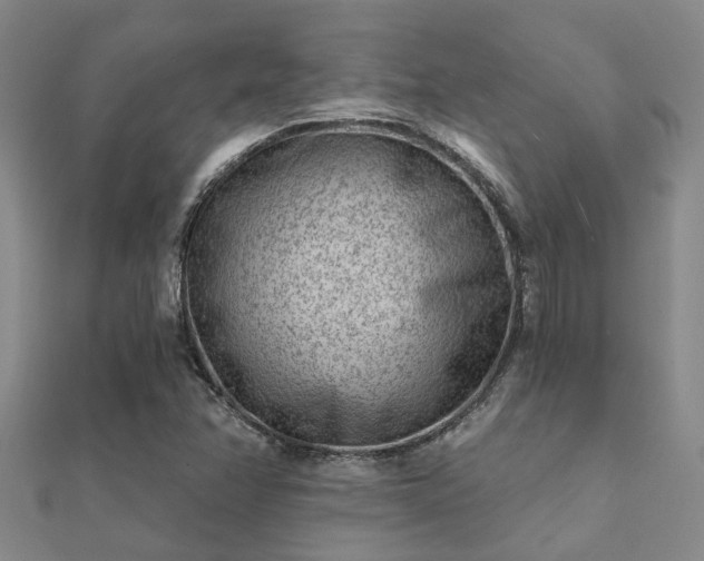 X0000112061358200908111403
