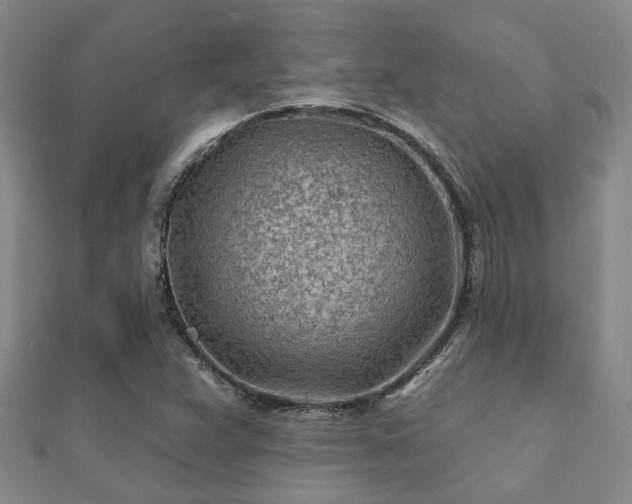 X0000112061359200908111403