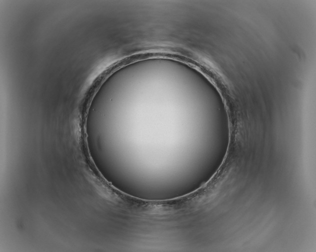 X0000112061360200908111403