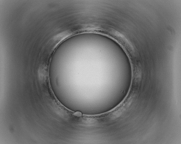 X0000112061361200908111403