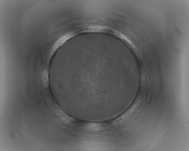 X0000112061362200908111403