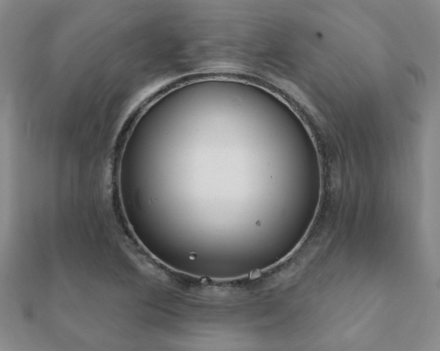 X0000112061364200908111403