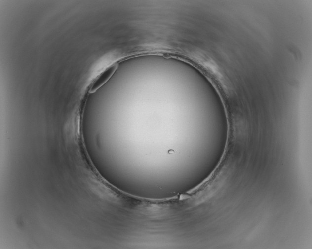 X0000112061365200908111403