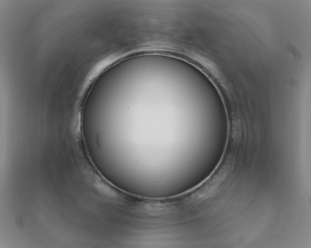 X0000112061366200908111403