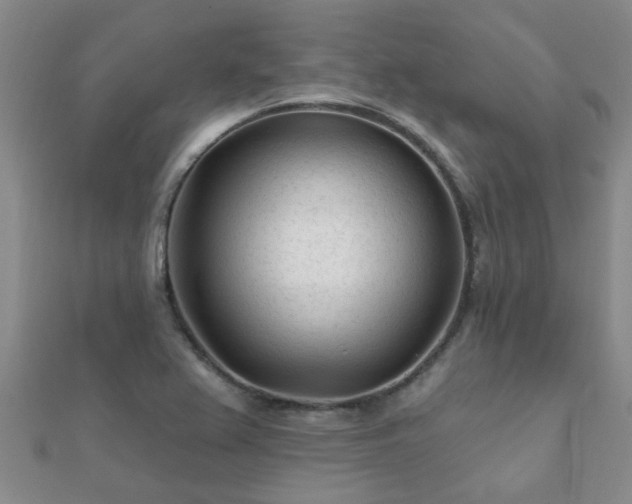 X0000112061367200908111403