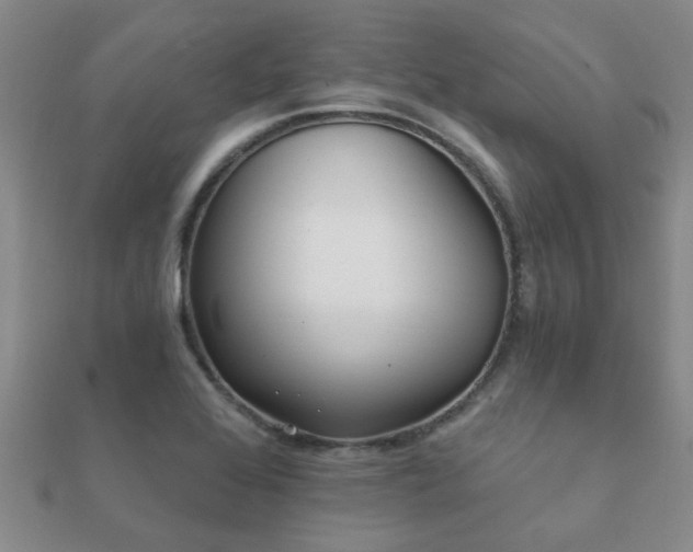 X0000112061368200908111403