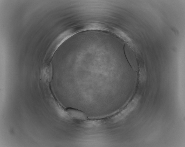 X0000112061369200908111403