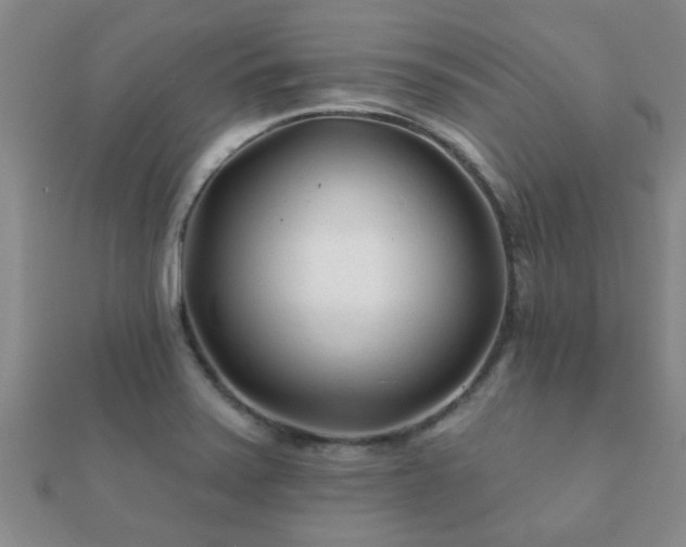 X0000112061371200908111403