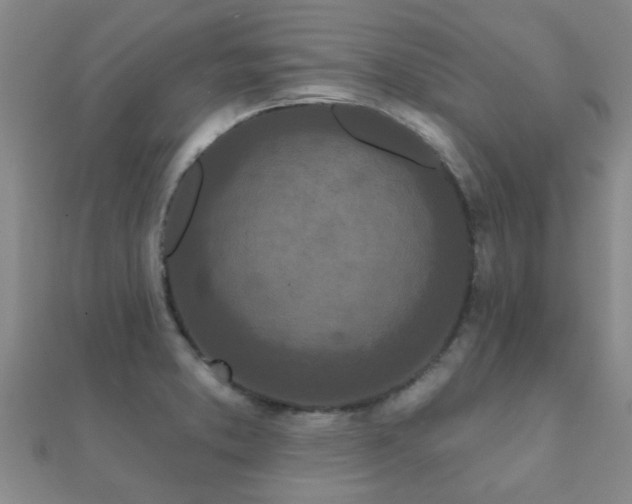 X0000112061373200908111403