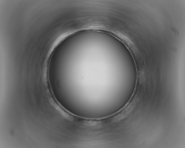 X0000112061374200908111403