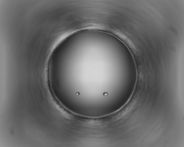X0000112061375200908111403