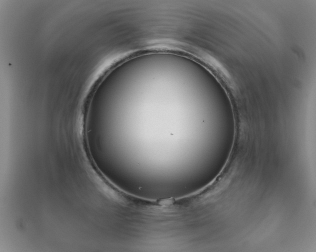 X0000112061376200908111403