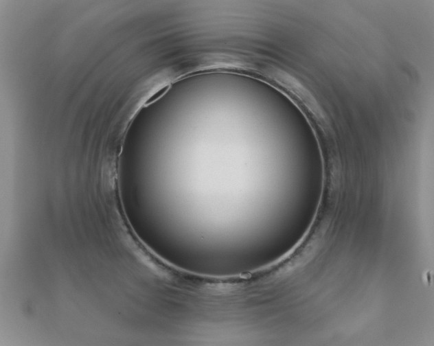 X0000112061377200908111403