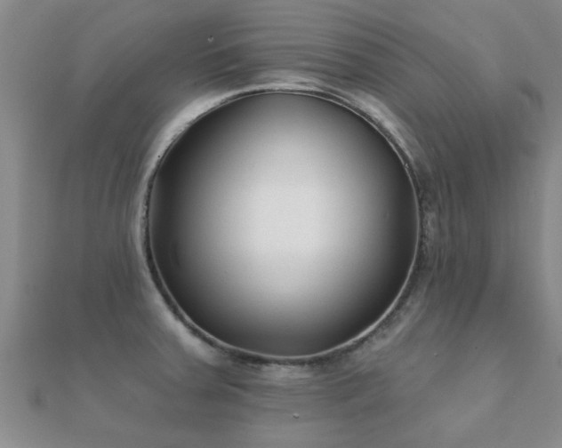 X0000112061379200908111402