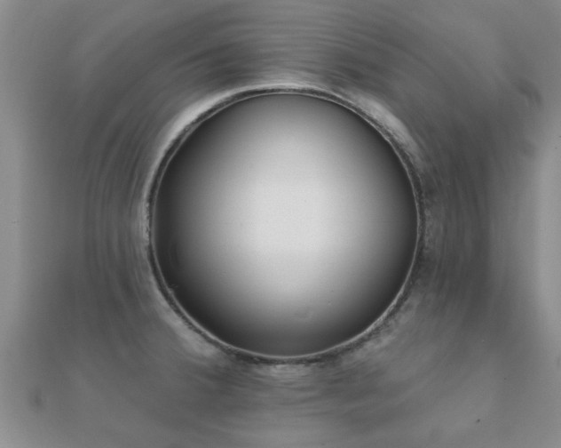 X0000112061380200908111402