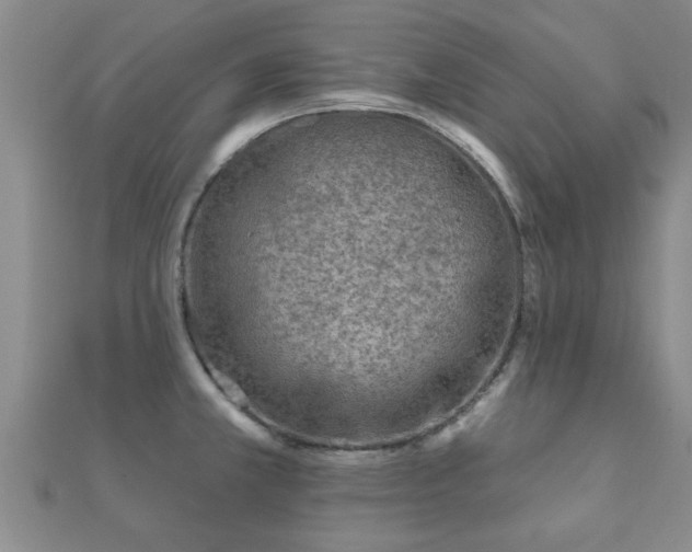 X0000112061381200908111402