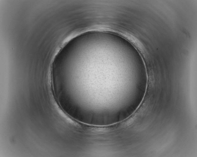 X0000112061382200908111402
