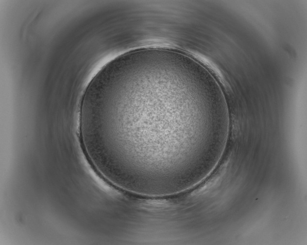 X0000112061383200908111402