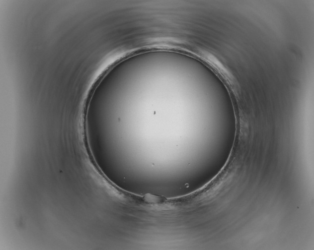 X0000112061384200908111402