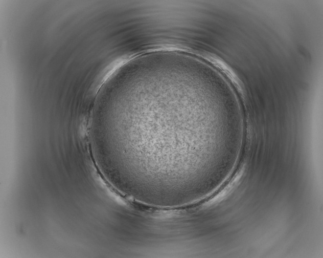 X0000112061385200908111402