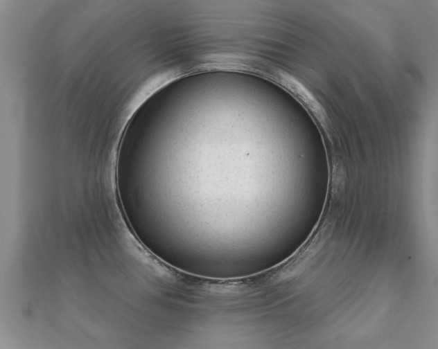 X0000112061386200908111402