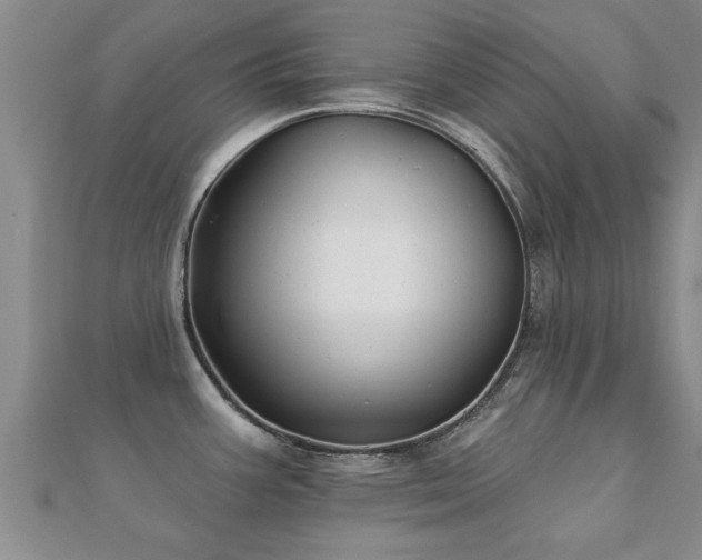 X0000112061387200908111402