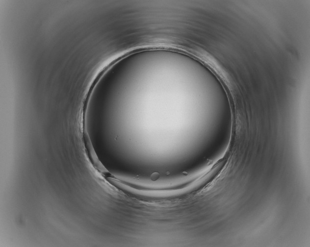 X0000112061388200908111402