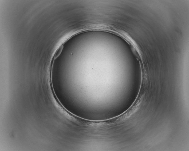 X0000112061389200908111402