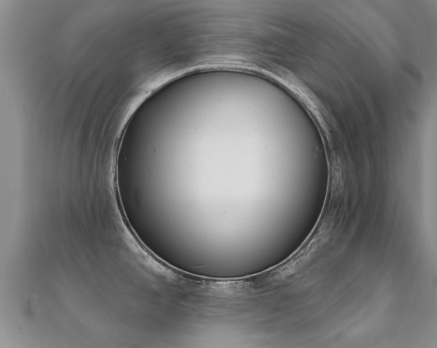 X0000112061390200908111402