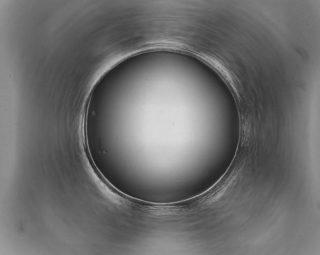 X0000112061391200908111402