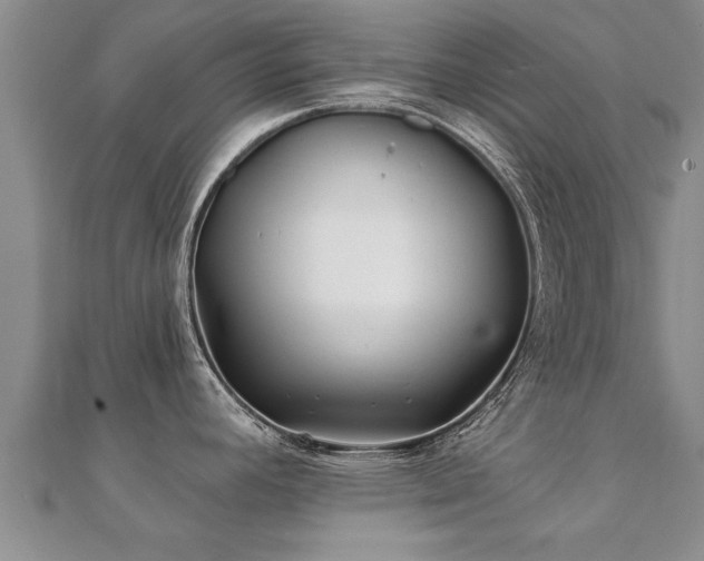 X0000112061392200908111402