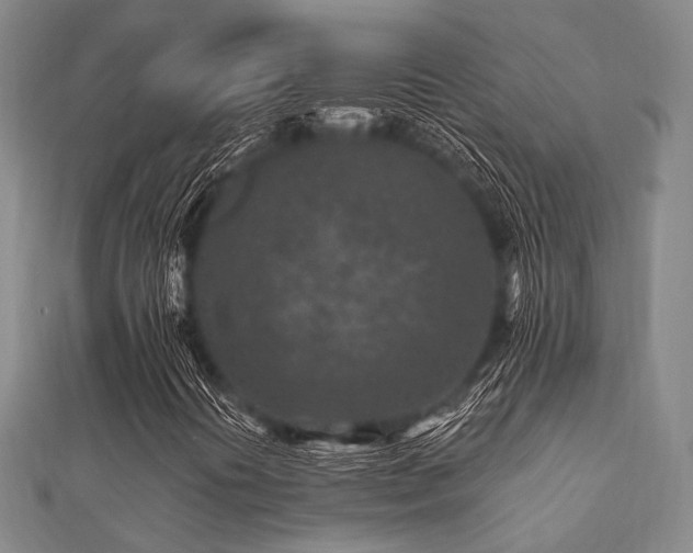 X0000112061394200908111402