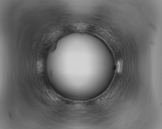 X0000112061395200908111402