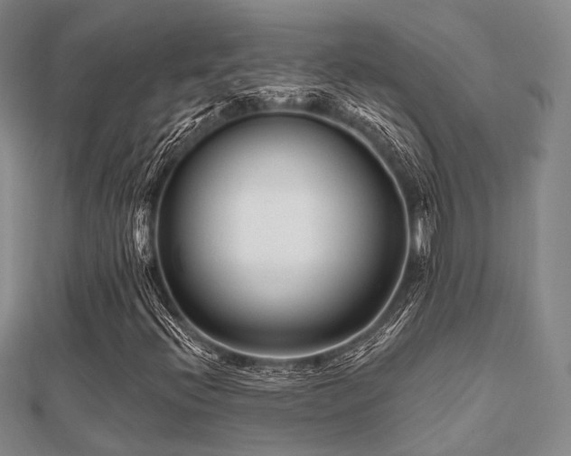 X0000112061396200908111402